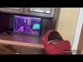Elmo World Weather Kids