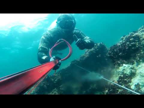 Çağlar ateş Levrek Avları