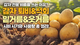 감자재배, 퇴비/석회/비료 사용법, 감자전용비료를 사용하는 이유!!