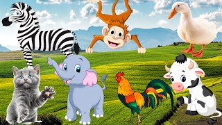 Download Lagu The lives of familiar animals: dogs, cats, chickens, cows, elephants, horses Thumbnail