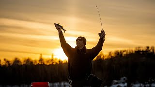 Ugly Stik GX2 Spinning Fishing Rod with Shakespeare Spinning Reel | Rod & Reel Combo Review