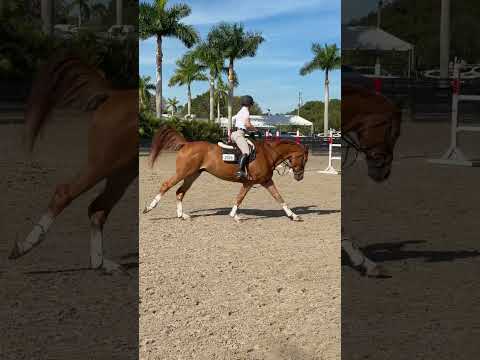 Gold Link video 7