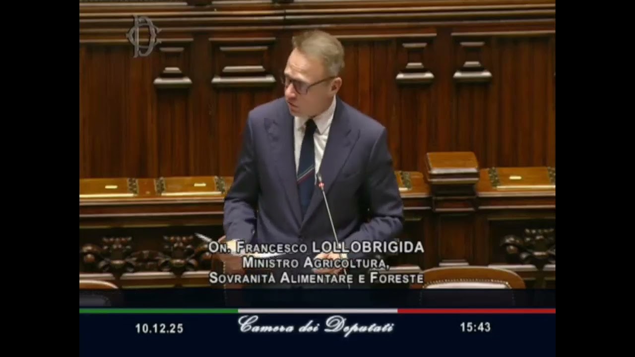 LOLLOBRIGIDA: "GIORNATA STORICA, LA CUCINA ITALIANA È PATRIMONIO IMMATERIALE DELL’UMANITÀ"