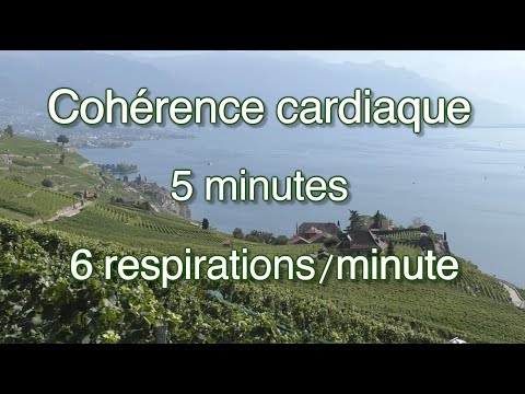 Cohérence cardiaque (cardiac coherence) - vignes en terrasses/Lavaux UNESCO - 6 respirations/minute