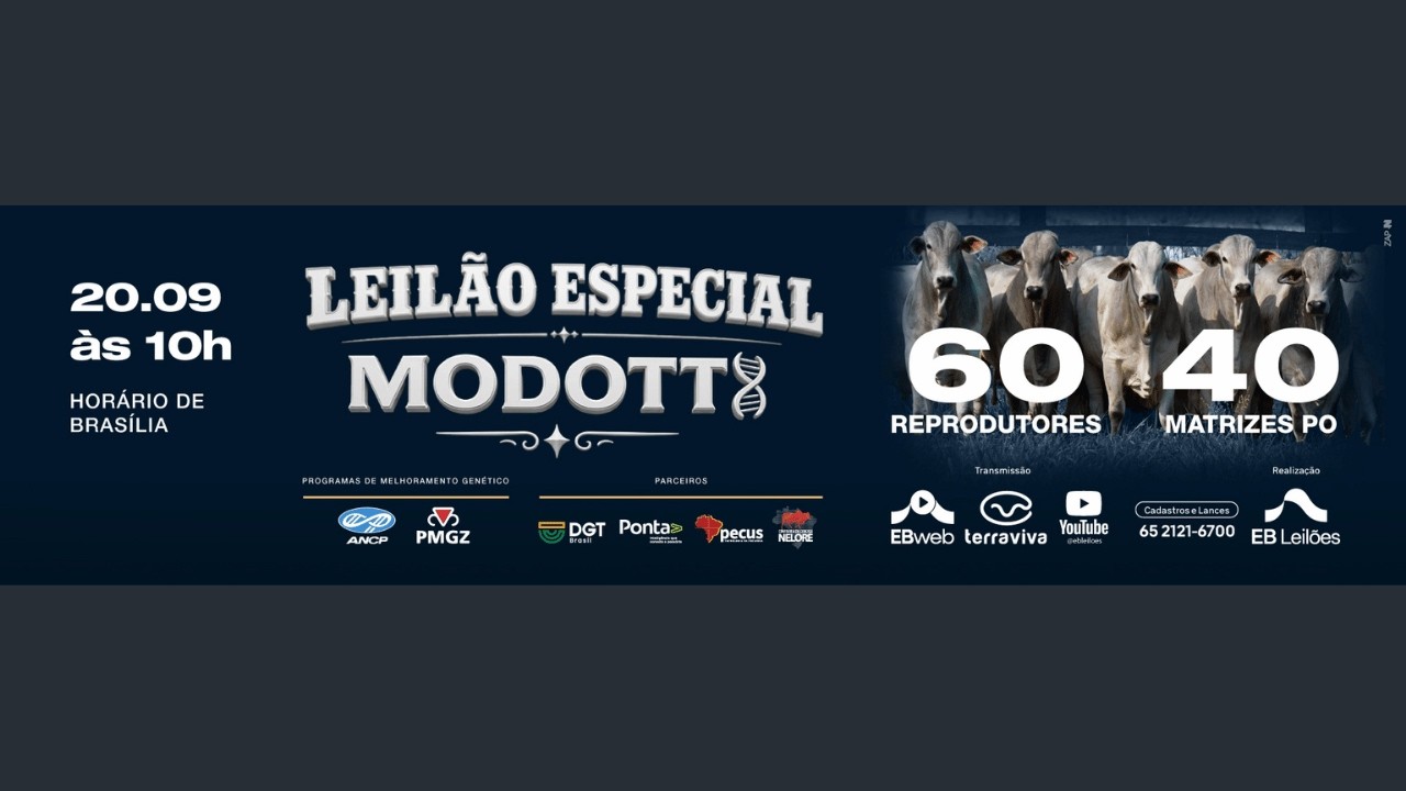 LEILÃO ESPECIAL GENÉTICA NELORE MODOTTI | 20/09/2026 – 10H