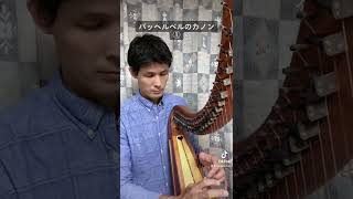 Download lagu アイリッシュハープ演奏♫パッヘルベルのカノンその1 Pachelbel's Canon  #ハープ  #カノン mp3