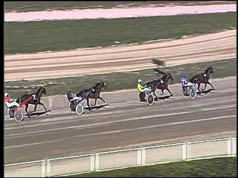 Trotto 04/10/2015 - 1° prova di qualifica