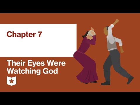 Their Eyes Were Watching God by Zora Neale Hurston | Chapter 7