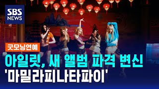 아일릿, 새 앨범 '마밀라피나타파이'로 파격 변신 / SBS / 굿모닝연예