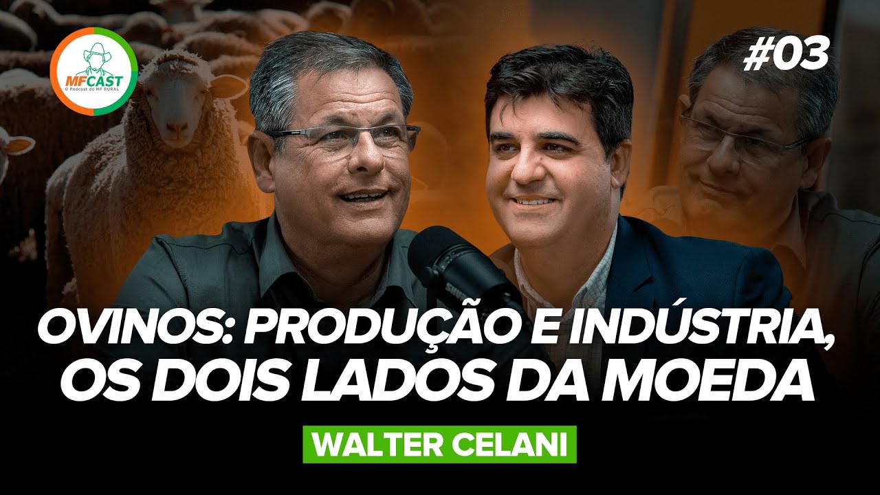 OVINOS: PRODUÇÃO E INDÚSTRIA, OS DOIS LADOS DA MOEDA. (Walter Celani) | MF Cast 03