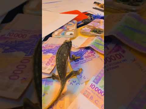 Argent kakatar les secrets mystiques par baye fall saloum saloum