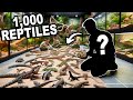 He Takes Care Of 1000 Reptiles For A Living!