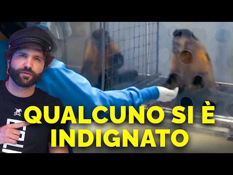 Questi esperimenti non servono a niente? Rispondo alle domande