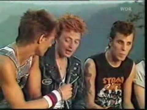 Stray Cats Interview