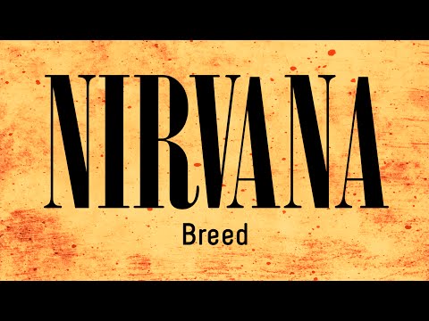 Nirvana - Breed (backing track for guitar)