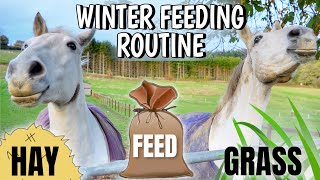 WINTER FEEDING ROUTINE FOR 10 HORSES