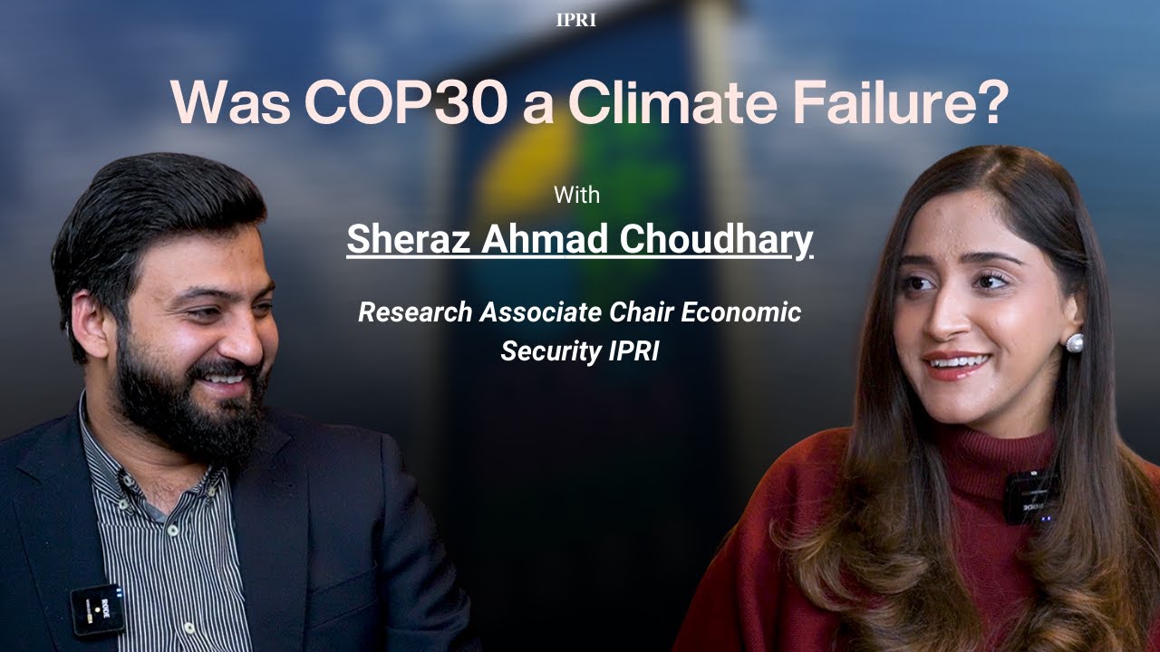 COP30 Explained: Failure, Progress, or Political Theatre?