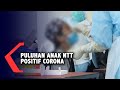 Puluhan Anak NTT Usia 0-18 Tahun Positif Corona Puluhan Anak NTT Usia 0-18 Tahun Positif Corona