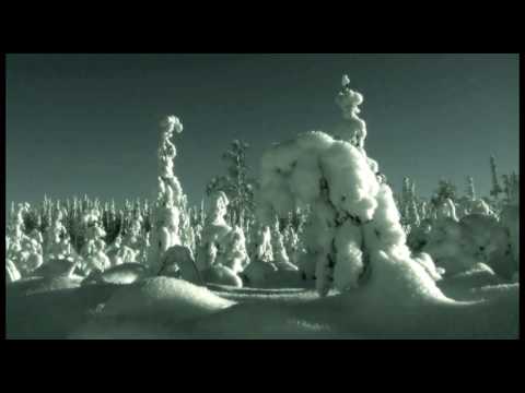 Johan Agebjörn & Mikael Ögren - The Rajakarjala Forests