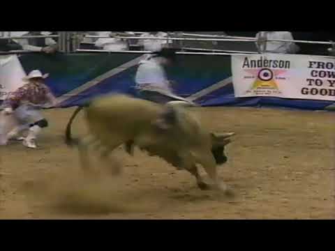 Lonnie Steverson vs Slam Dunk - 94 PBR Finals (82.5 pts)