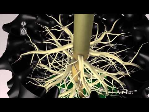 Air-Pot System - Österreich