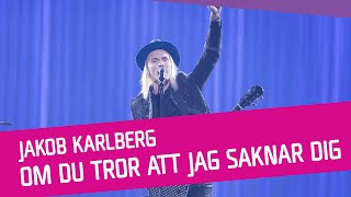 Om du tror att jag saknar dig Music Video