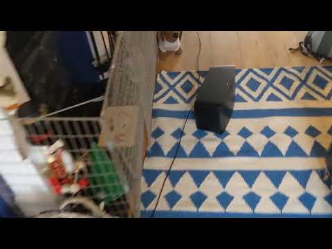 Smart Home Sounds - Rega Planar 1 Plus