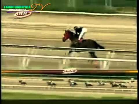 LA RINCONADA 10 CARRERA VIERNES 29 DE AGOSTO DEL 2014