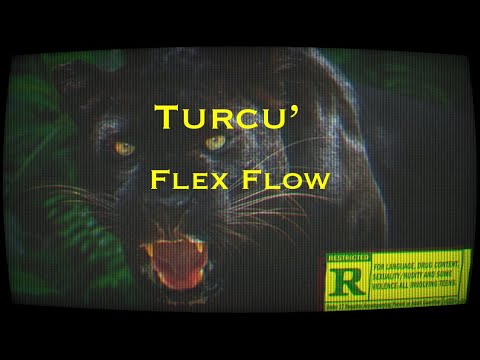 Turcu’- Flex Flow (Lyric Video) [prod.Crime]