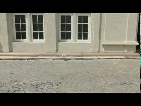 Berkeley's 8th Grade Egg Drop - 8