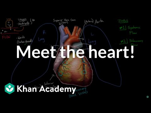 www.khanacademy.org