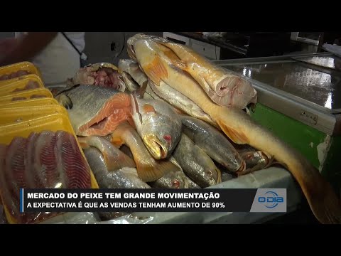 Mercado do Peixe tem grande movimentação e há expectativas de aumento em 90% de vendas 22 02 2023