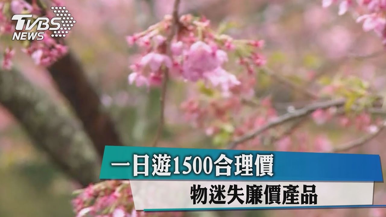 高風險一日遊產品下架 合理價1500起