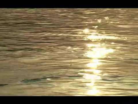 Ulovi Trofej - Ribolov na Dunavu - Banostor