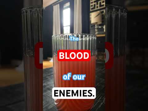 (ALAN BECKER PLUSH PARODY) “A Glass of Lemonade” Original audio by @raxdflipnote