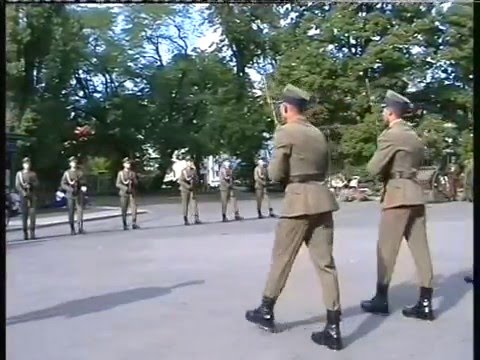 3 KRWP POKAZ MUSZTRY PARADNEJ 2008-08-31