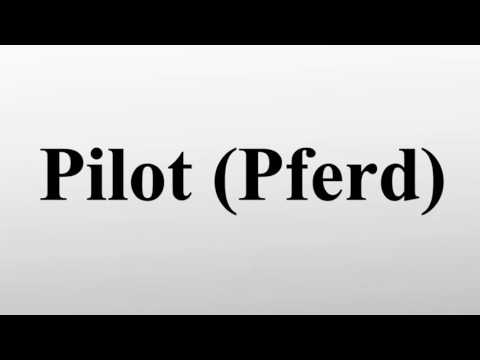 Pilot (Pferd)