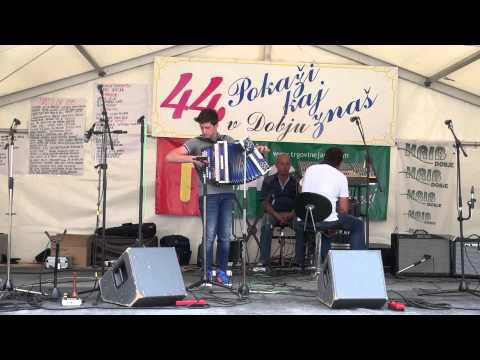 Matej Zidarn (Mozirje)-Venček radosti (v živo)