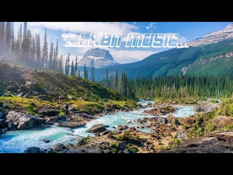 NK KING X SENSEY' X LUCKY DUBE - Dans ta tête - REMEMBER ME (Reggae Remix 2023)