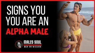 Signs that you are a ALPHA MALE |  Male Soul | Men On Mission