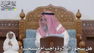 724 - هل سجود التلاوة واجب أم مستحب؟ - عثمان الخميس