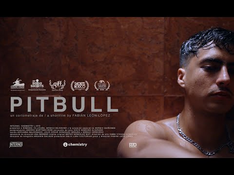 Pitbull