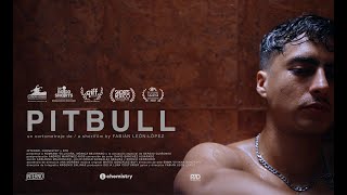 Pitbull