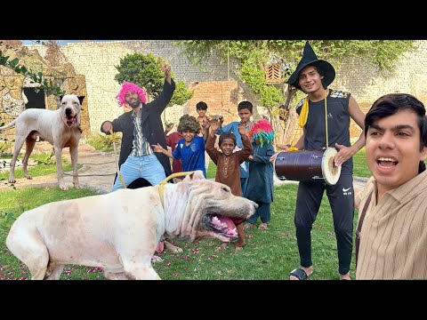 Qasai Sy Bully Dog Ly Aiy Zoo 😍