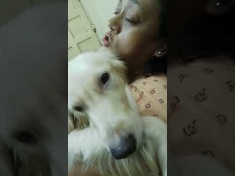 Rajendrani ( mammam) er obhiman bhangalam