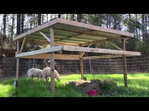 , title : 'How to Build A Mobile SHEEP Shelter, Regenerative Ag'