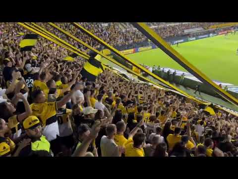 Outra vez na primeira o Tigre estará!