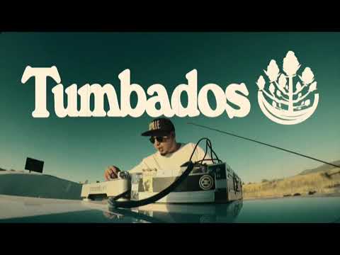 🦷 LA CARIE🔥  TUMBADOS (Baila Monstruo, Vega, Amgon, Malamadre, Barry Osorio, Dj Kasse)