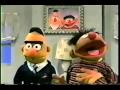 Sesame Street You Re Not Bert