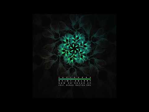 Ovidi Adlert - Now Or Never (Miguel Bastida Remix) [303 Lovers]